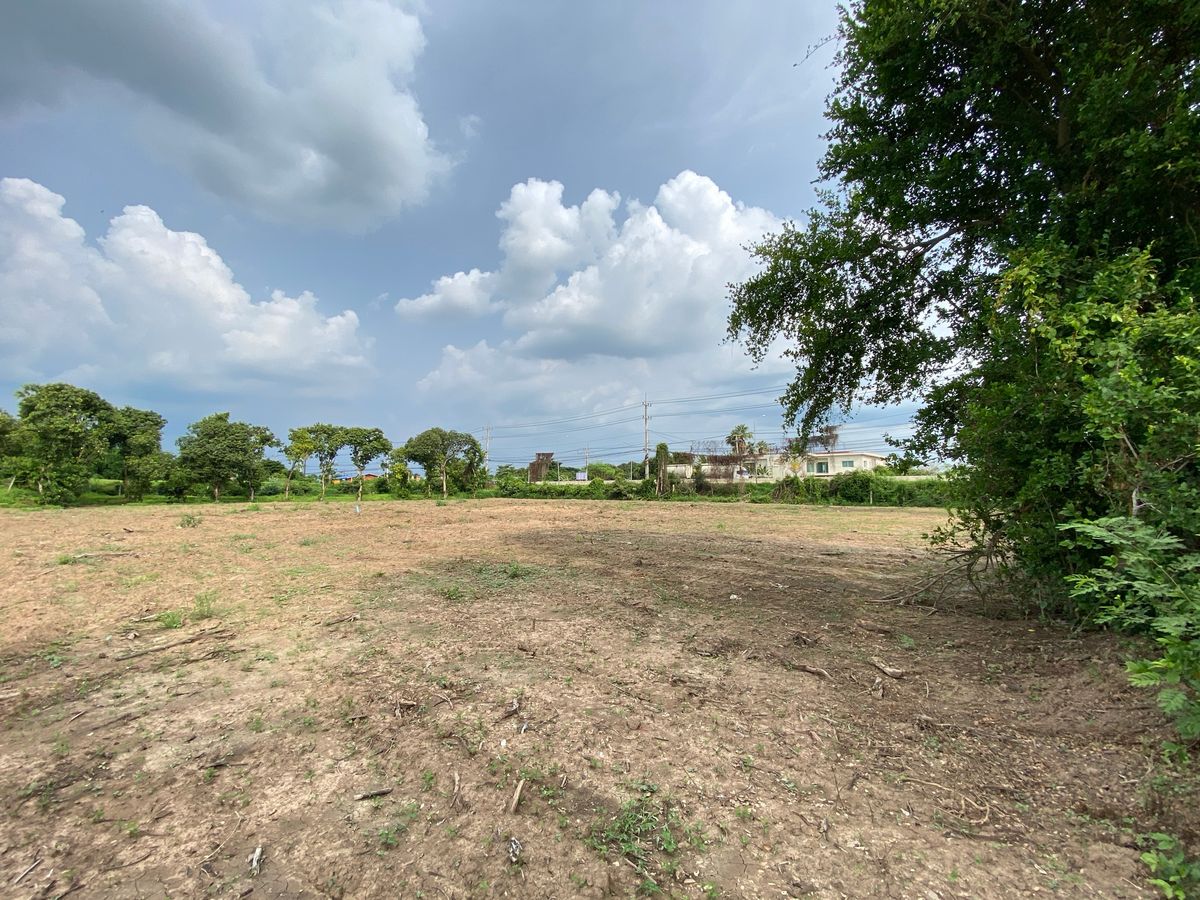 🏞️ Sell beautiful plot of land, Sing Buri, on the main road opposite Phra Phra Non Temple. Suitable for business or living 🌿
