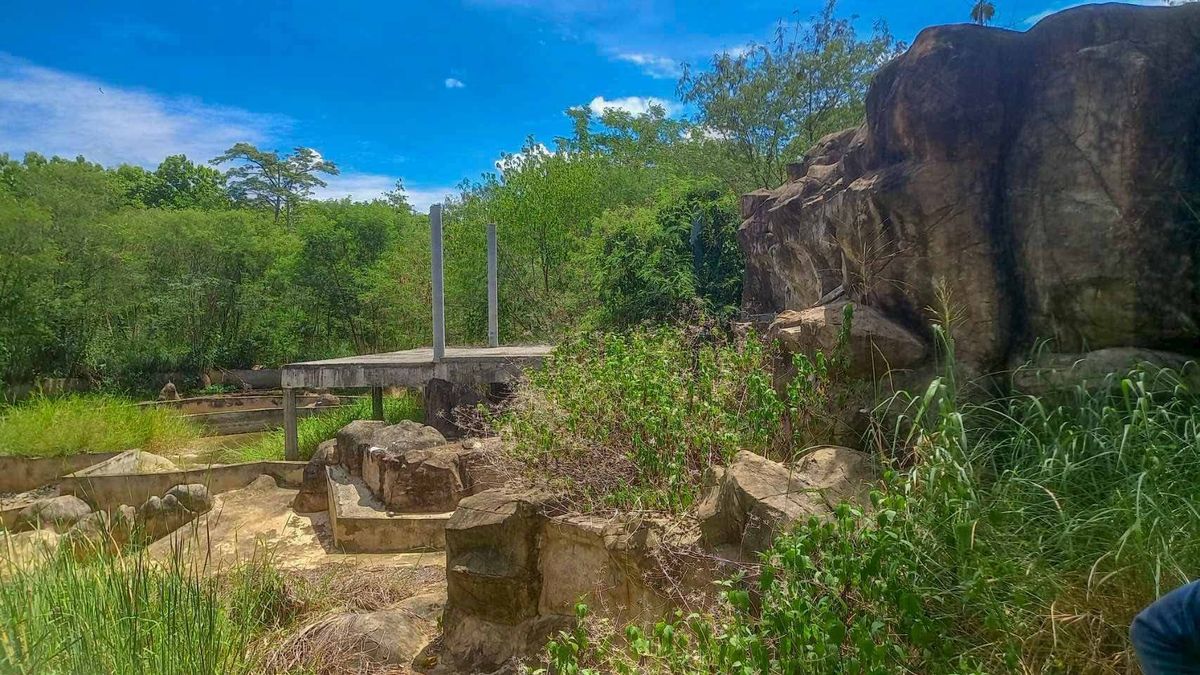 ขาย ที่ดินเปล่า 18 ไร่ 2 งาน 25 ตร.ว. ปากช่อง โคราช   – รูปที่ 3