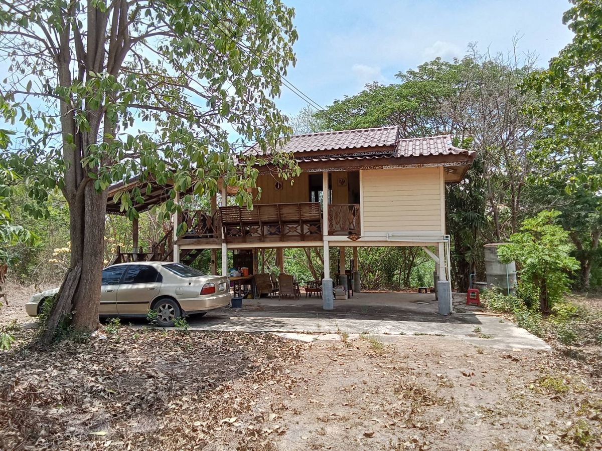 ขายบ้านพร้อมที่ดินริมแม่น้ำลพบุรี บรรยากาศสงบ วิวทุ่งนา ทำเลดี ใกล้ชุมชน – รูปที่ 3