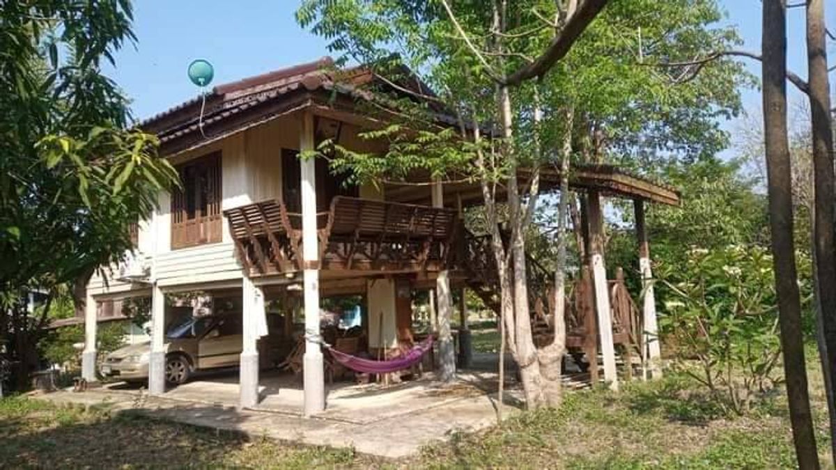 ขายบ้านพร้อมที่ดินริมแม่น้ำลพบุรี บรรยากาศสงบ วิวทุ่งนา ทำเลดี ใกล้ชุมชน ขายบ้านพร้อมที่ดินริมแม่น้ำลพบุรี บรรยากาศสงบ วิวทุ่งนา ทำเลดี ใกล้ชุมชน