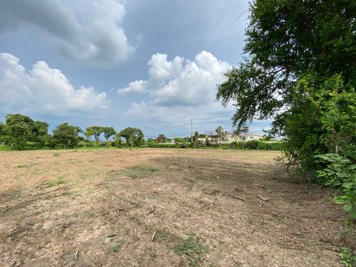 🏞️ Sell beautiful plot of land, Sing Buri, on the main road opposite Phra Phra Non Temple. Suitable for business or living 🌿