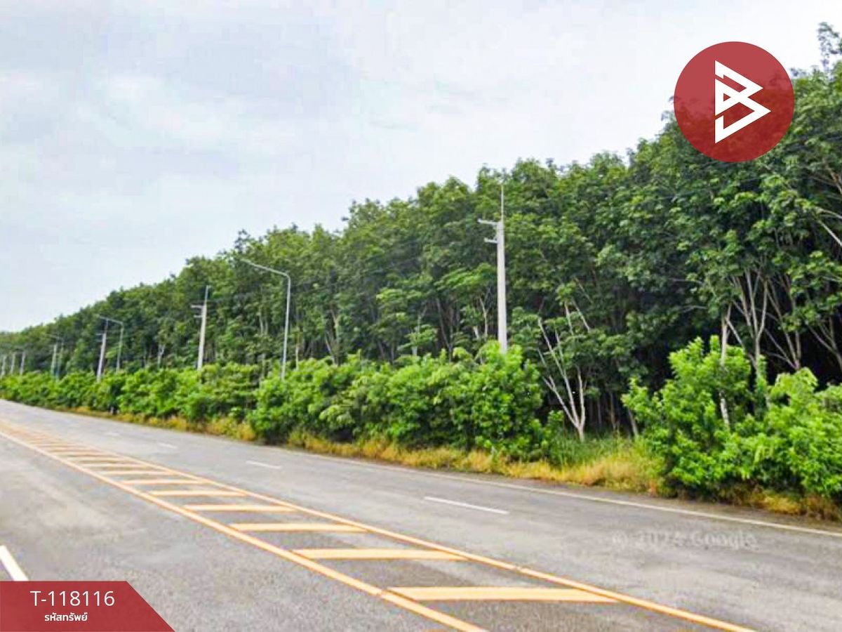 ขายที่ดิน เนื้อที่ 10 ไร่ เขาชะเมา ระยอง – รูปที่ 3