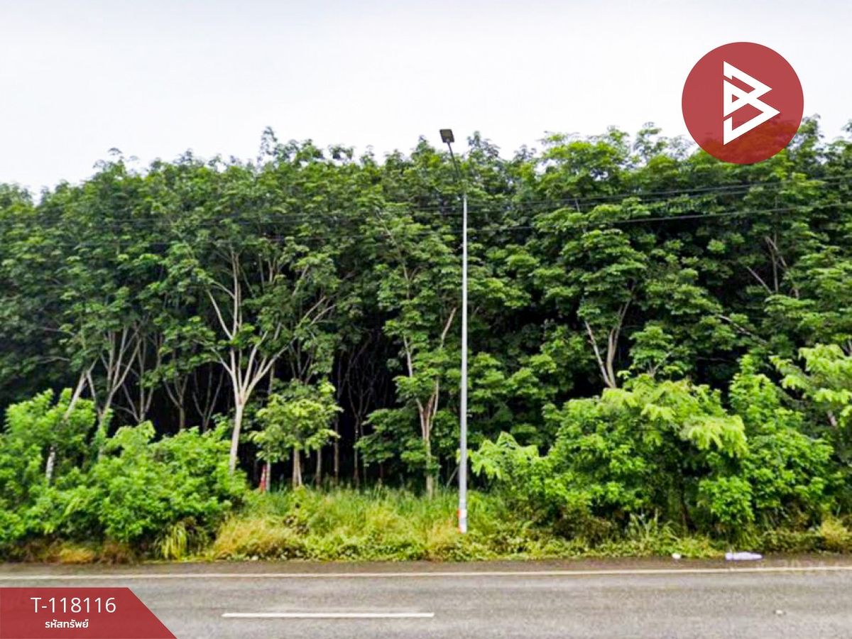 ขายที่ดิน เนื้อที่ 10 ไร่ เขาชะเมา ระยอง – รูปที่ 2