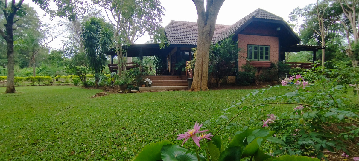 Pak Chong Phutawan Resort-House  in the trees for Sales