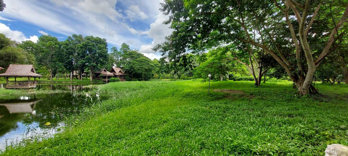 Land for sale, Rim Nam Village, Ban Nong Bua, Mae Taeng District, Chiang Mai, 1 rai area (492.5 sq.w.) *Corner plot near Thung Luang and Phu Tawan Phan Dao There are large trees, shady, beautiful natural water, with water. – รูปที่ 2
