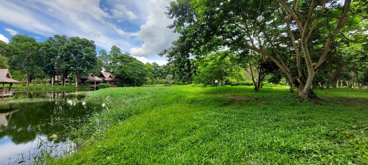 Land for sale, Rim Nam Village, Ban Nong Bua, Mae Taeng District, Chiang Mai, 1 rai area (492.5 sq.w.) *Corner plot near Thung Luang and Phu Tawan Phan Dao There are large trees, shady, beautiful natural water, with water. – รูปที่ 3