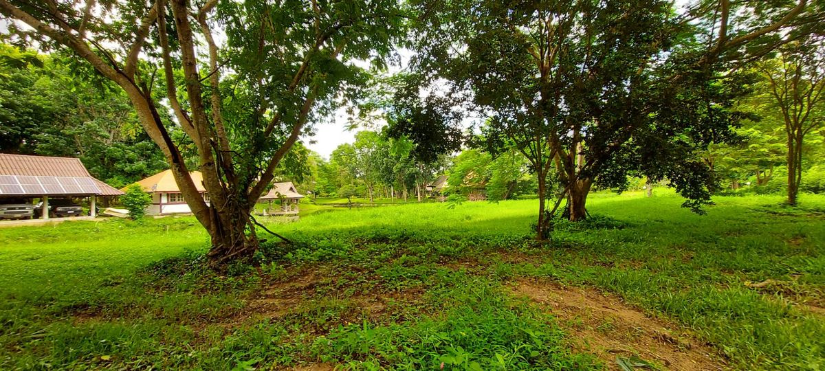 Land for sale, Rim Nam Village, Ban Nong Bua, Mae Taeng District, Chiang Mai, 1 rai area (492.5 sq.w.) *Corner plot near Thung Luang and Phu Tawan Phan Dao There are large trees, shady, beautiful natural water, with water. – รูปที่ 4