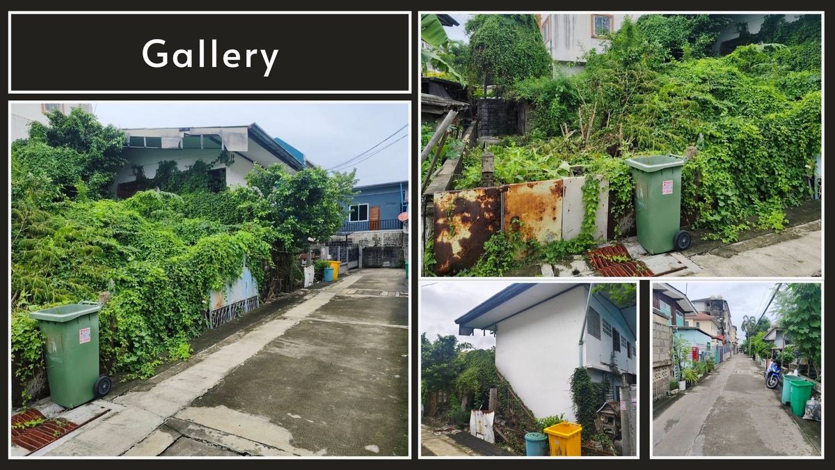 ที่ดิน 54 ตรว. กำนันแม้น 13 ซอย 25 รูปแปลงถุงเงิน – รูปที่ 2