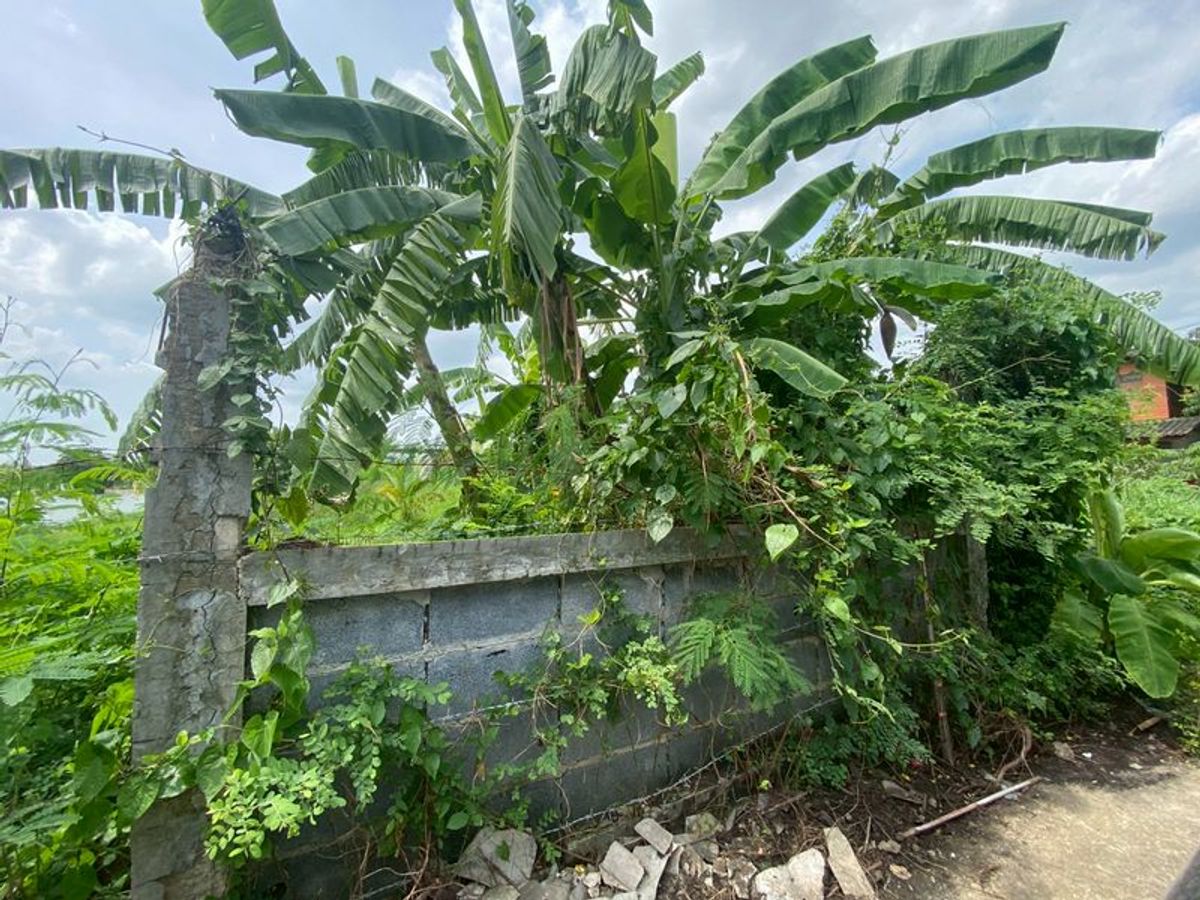 ขาย  ที่ดินเปล่า  คลองสามวา  ถ.ไมตรีจิต – รูปที่ 4