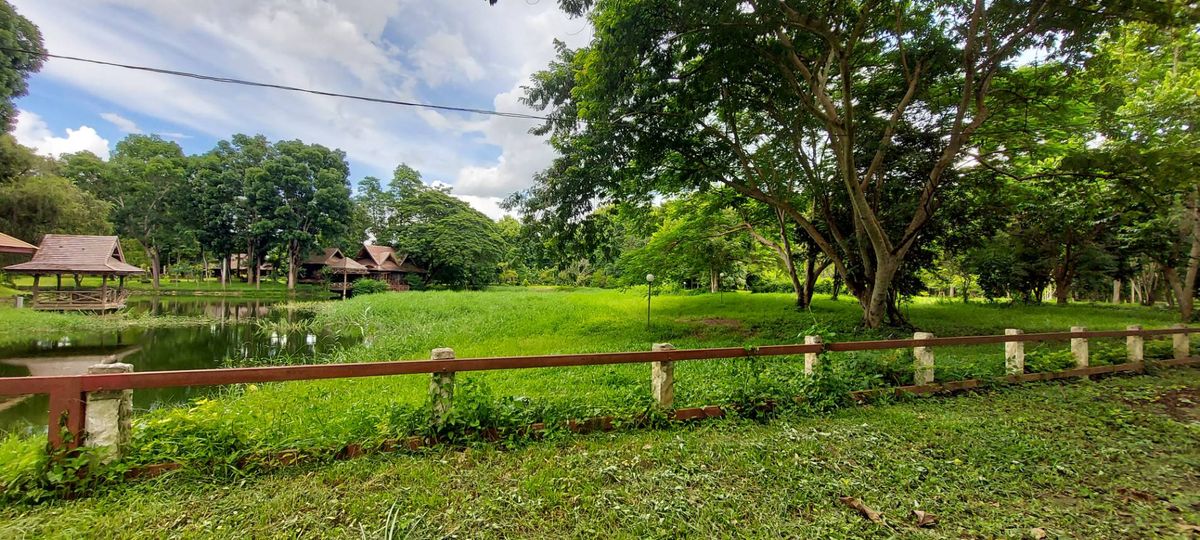 Land for sale, Rim Nam Village, Ban Nong Bua, Mae Taeng District, Chiang Mai, 1 rai area (492.5 sq.w.) *Corner plot near Thung Luang and Phu Tawan Phan Dao There are large trees, shady, beautiful natural water, with water. Land for sale, Rim Nam Village, Ban Nong Bua, Mae Taeng District, Chiang Mai, 1 rai area (492.5 sq.w.) *Corner plot near Thung Luang and Phu Tawan Phan Dao There are large trees, shady, beautiful natural water, with water.