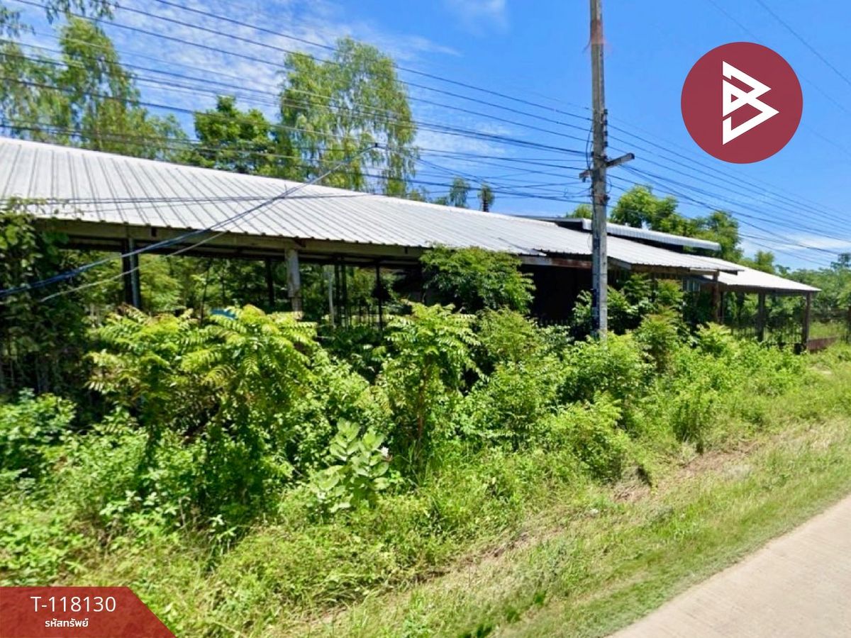 ขายที่ดิน เนื้อที่ 12 ไร่ 1 งาน 61 ตร.วา หนองกระโดน นครสวรรค์ – รูปที่ 2
