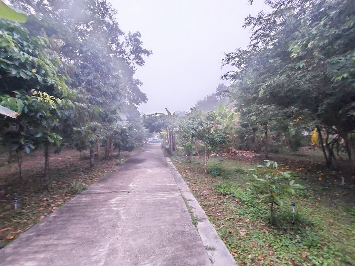 ขายด่วน! ที่ดิน พร้อมบ้าน 4 หลัง (ติดแม่น้ำแคว)   ต.ลิ่นถิ่น อ.ทองผาภูมิ จ.กาญจนบุรี ( ราคา 5,500,000 ) – รูปที่ 3