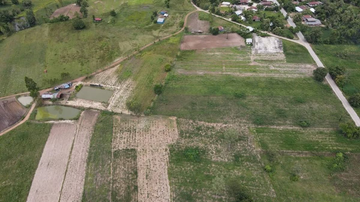 Urgent sale! Kamphaeng Phet land 696 rai ( selling himself) – รูปที่ 2