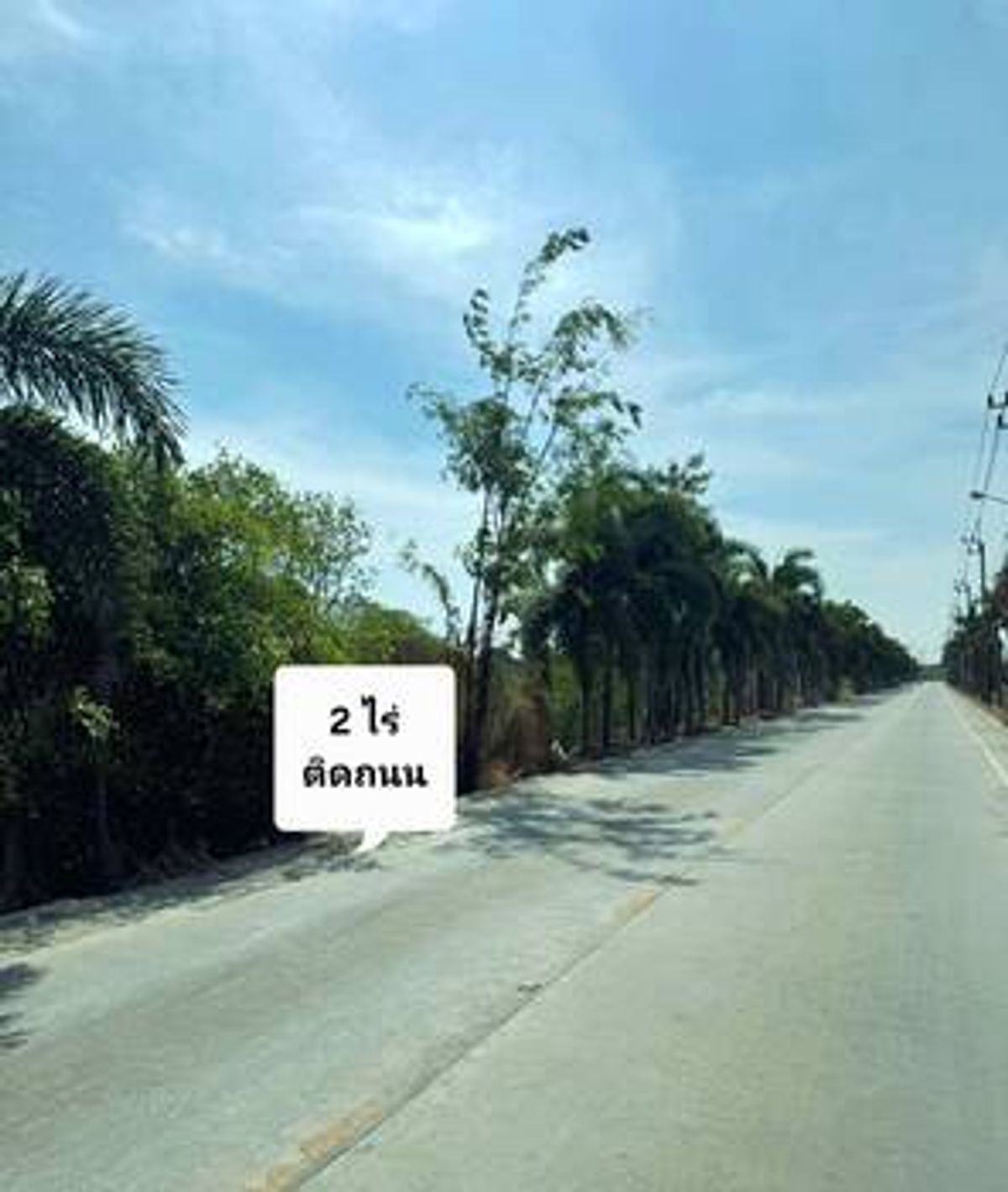 ขายที่ดิน 2ไร่ สีม่วง บางเสาธง ไร่ละ7.6ลบ.รวมโอน – รูปที่ 4