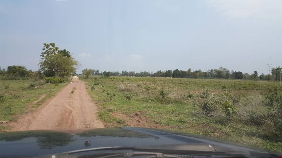 Urgent sale! Kamphaeng Phet land 696 rai ( selling himself) – รูปที่ 4