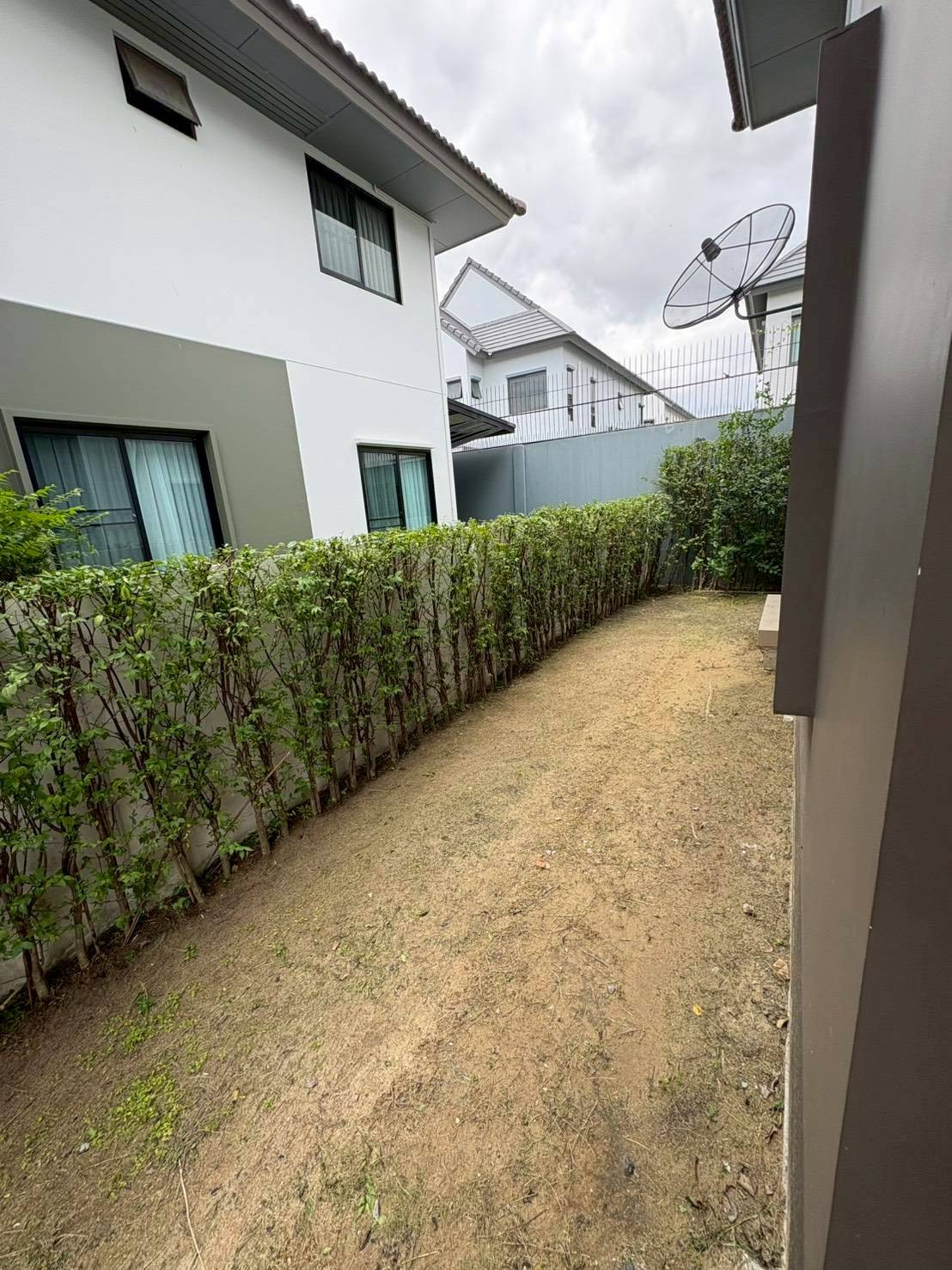 📣💥 เช่าบ้านบุราสิริ บางนา บ้านสวย พื้นที่ใช้สอยกว้าง ❌ ไม่รับสัตว์เลี้ยง – รูปที่ 4