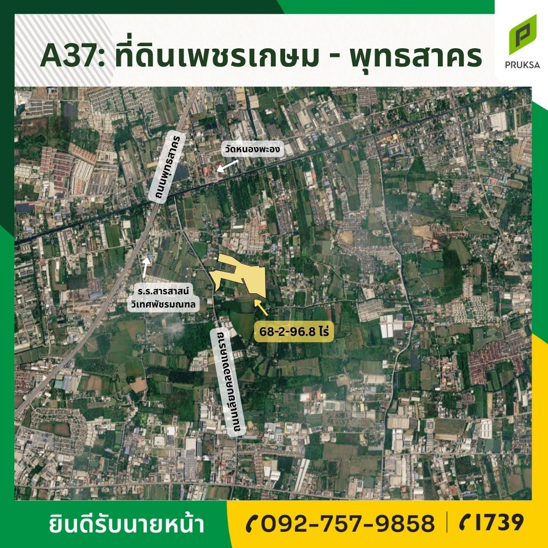 ขายที่ดินแปลงสวยพุทธสาคร พร้อมโอน ขายที่ดินแปลงสวยพุทธสาคร พร้อมโอน