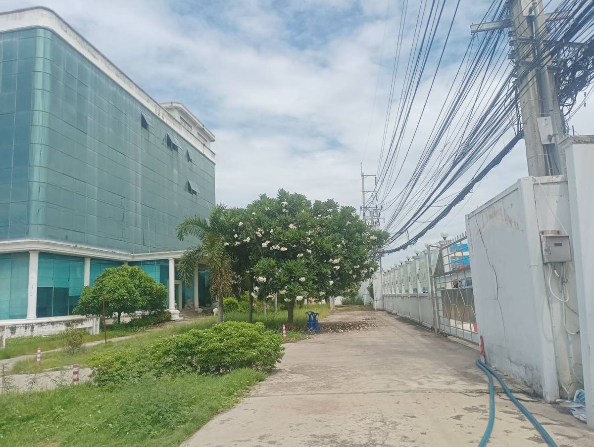 ขาย ที่ดินผังสีม่วงแปลงใหญ่ 16 ไร่ ติดถนนเทพารักษ์ ใกล้มอเตอร์เวย์ – รูปที่ 2