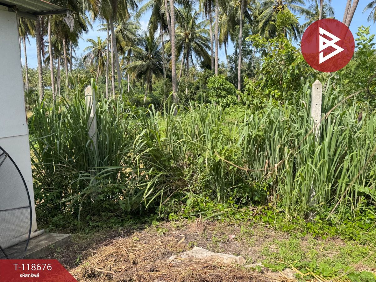 ขายที่ดิน เนื้อที่ 1 งาน 97 ตร.วา บางสะพาน ประจวบคีรีขันธ์ – รูปที่ 4