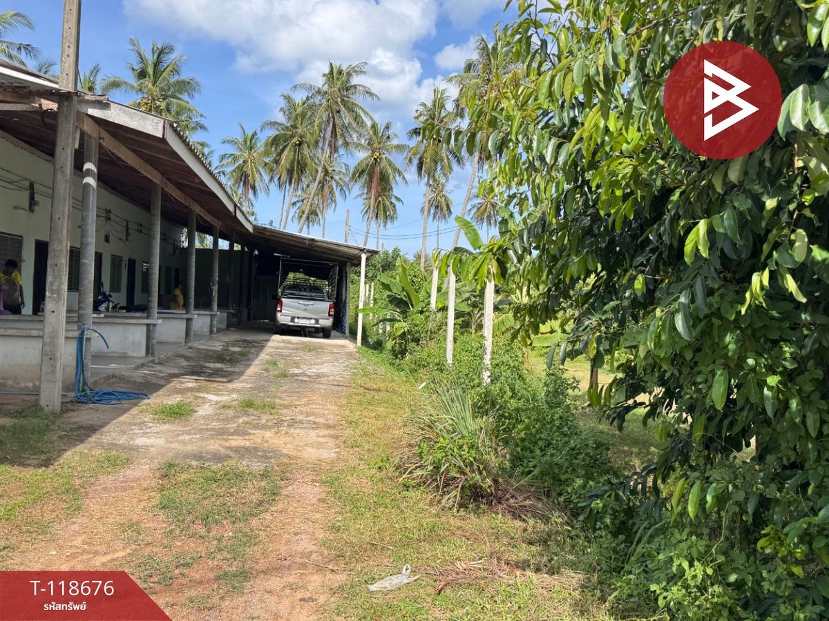ขายที่ดิน เนื้อที่ 1 งาน 97 ตร.วา บางสะพาน ประจวบคีรีขันธ์ – รูปที่ 3