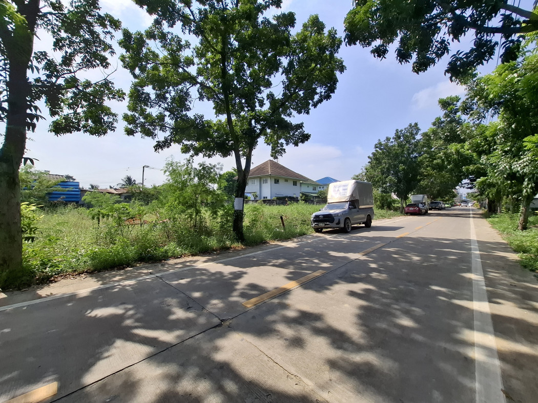 ขาย ที่ดิน 288 ตรว ซ.ทวีวัฒนา-กาญจนาภิเษก 24 ขนาด ถนนกว้างมาก KK – รูปที่ 2