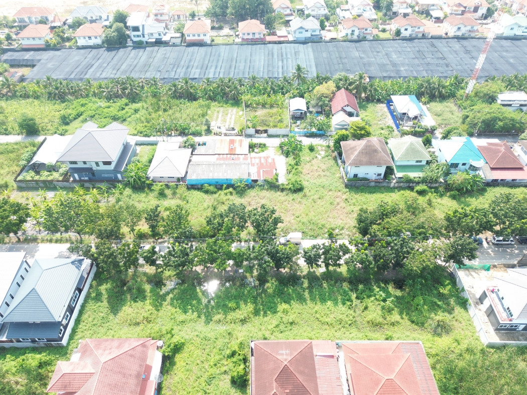 ขาย ที่ดิน 288 ตรว ซ.ทวีวัฒนา-กาญจนาภิเษก 24 ขนาด ถนนกว้างมาก KK – รูปที่ 4