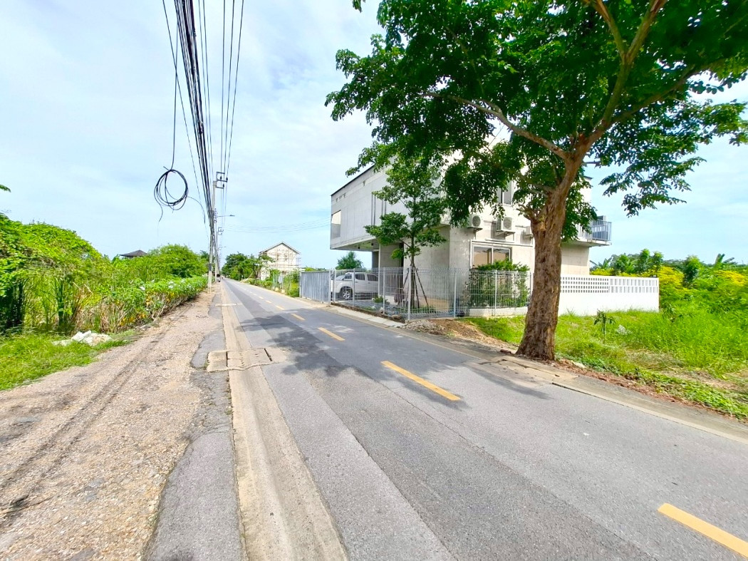 Land for sale on the main road, Phutthamonthon Sai 3, Soi 17, size 64 sqw, near Phutthamonthon Sai 3 Road, only 500 m. DD – รูปที่ 2
