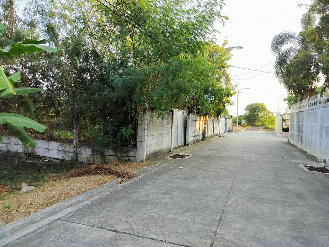 Land for sale, Soi Thawi Watthana 41, size 198 sq w., near Thawi Watthana Road, only 450 m. KK – รูปที่ 2