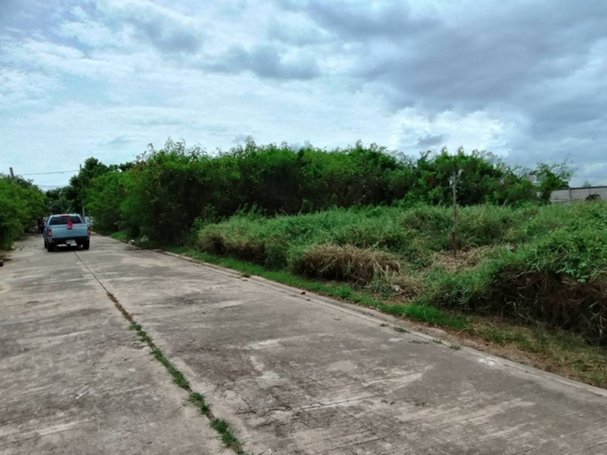 Land for sale 137 square wah, Khunalai Village, Bang Khun Thian, 7.5 meters wide road in front of the house south. Suitable for building a house Land for sale 137 square wah, Khunalai Village, Bang Khun Thian, 7.5 meters wide road in front of the house south. Suitable for building a house