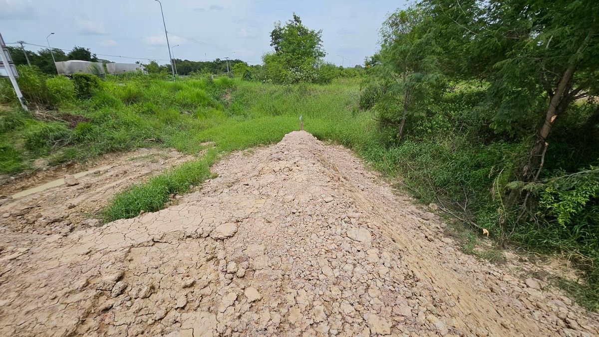 ขายที่ดินเลี่ยงเมืองนครสวรรค์ – รูปที่ 4
