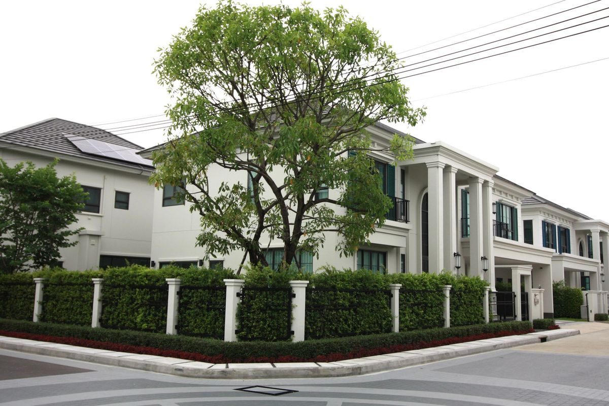 เช่าบ้านใหม่ไซส์ใหญ่ที่สุด ทำเลดีที่สุดในโครงการ  เศรษฐสิริ บางนา กม.10 (Sansiri 10 East) – รูปที่ 3