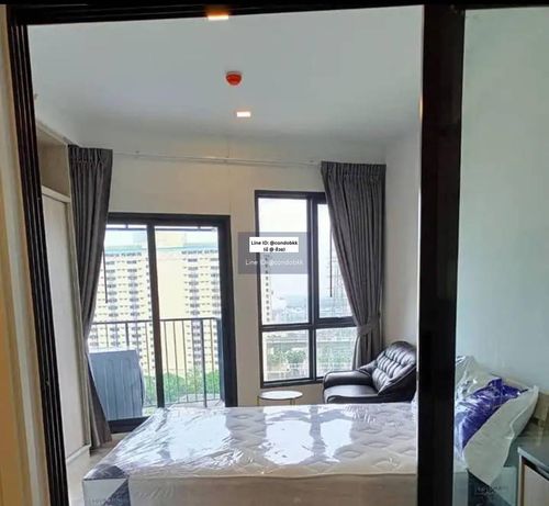 Condo for rent : THE TREE Pattanakarn-Ekkamai
