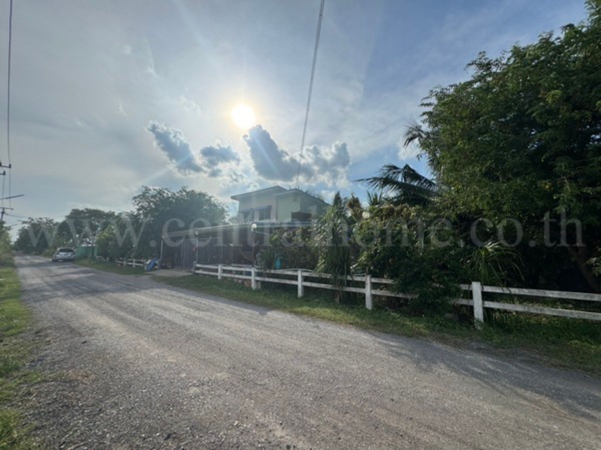 บ้านเดี่ยวพร้อมที่ดิน 2 ไร่ หนองเสือ - คลอง 10 ปทุมธานี – รูปที่ 3