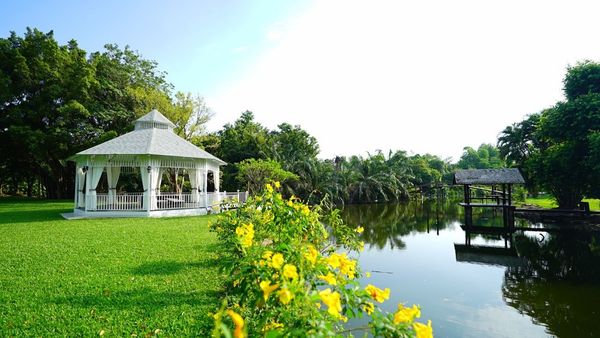 Large detached house with swimming pool, canal, garden, lawn, fully furnished, near the airport.