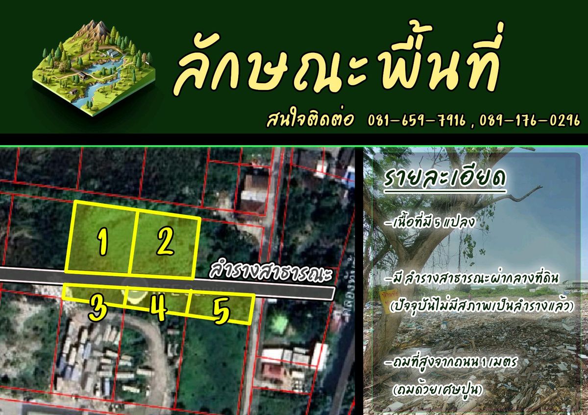 Land for rent Soi Krungthep, Athletics 37 2 Rai 1, Tel 081-6597916, 089-1760296 – รูปที่ 4