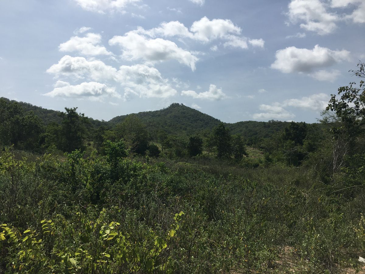 ที่ดิน 13 ไร่  ตรงข้ามBIG BOOM FARM  ( สนามชนไก่หัวหิน ) ทิศทางดี – รูปที่ 4
