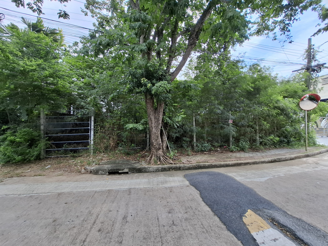 ขาย ที่ดิน หมู่บ้านชวนชื่นพาร์ควิลล์  135 ตรว ใกล้ถ.กาญจนาภิเษกแค่ 450 ม. KK – รูปที่ 4