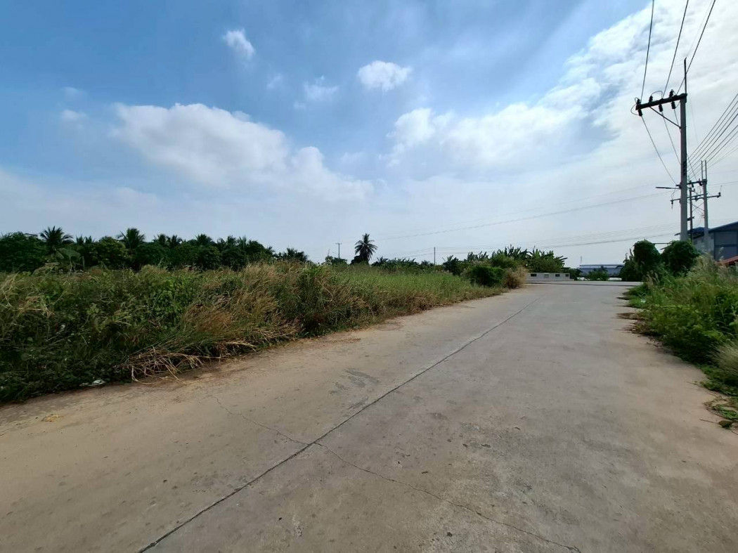 Land for sale, Ban Ko, Samut Sakhon, 700 sq w, near Rama 2 Road, only 7.6 km. DD – รูปที่ 2