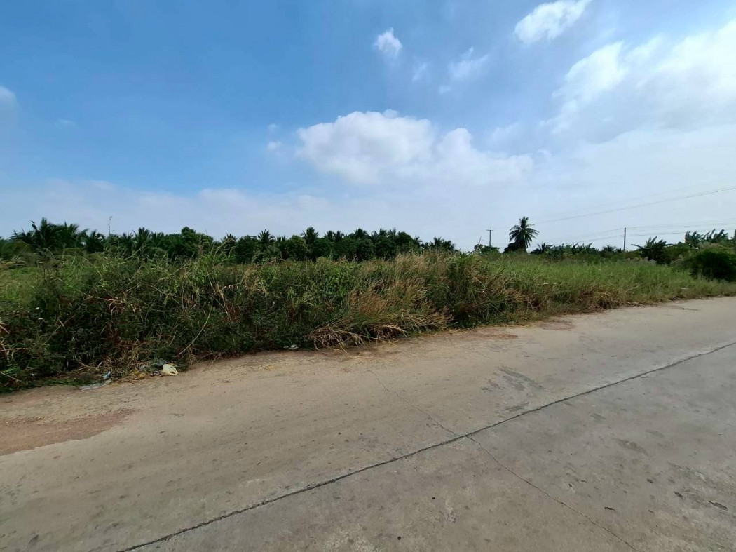 Land for sale, Ban Ko, Samut Sakhon, 700 sq w, near Rama 2 Road, only 7.6 km. DD – รูปที่ 4