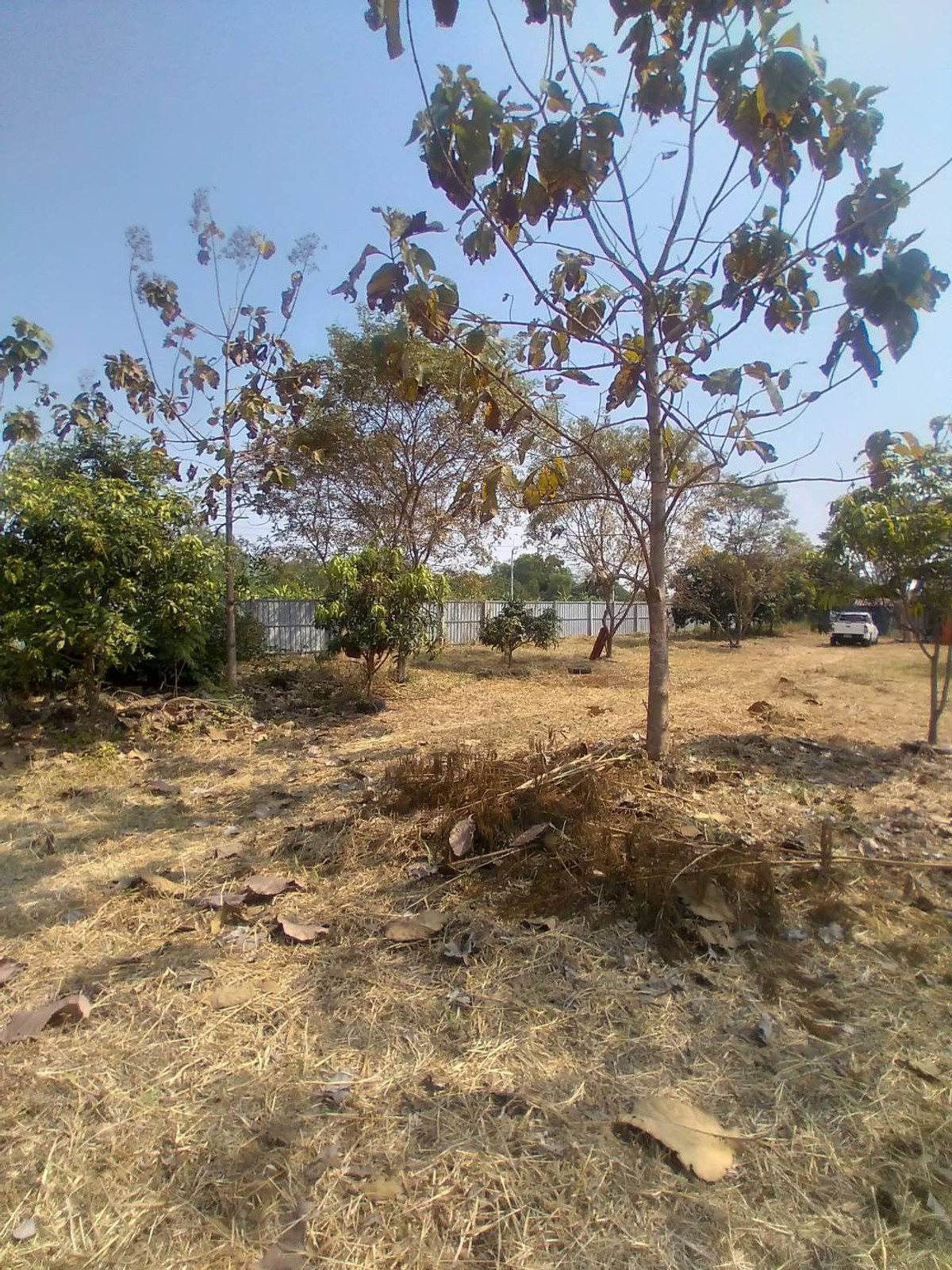 ขายที่ดิน ในซอย สุวินทวงศ์96 1ไร่ ถมแล้ว เข้าซอยเพียง 300 เมตร มีบ้านเลขที่แล้ว – รูปที่ 3