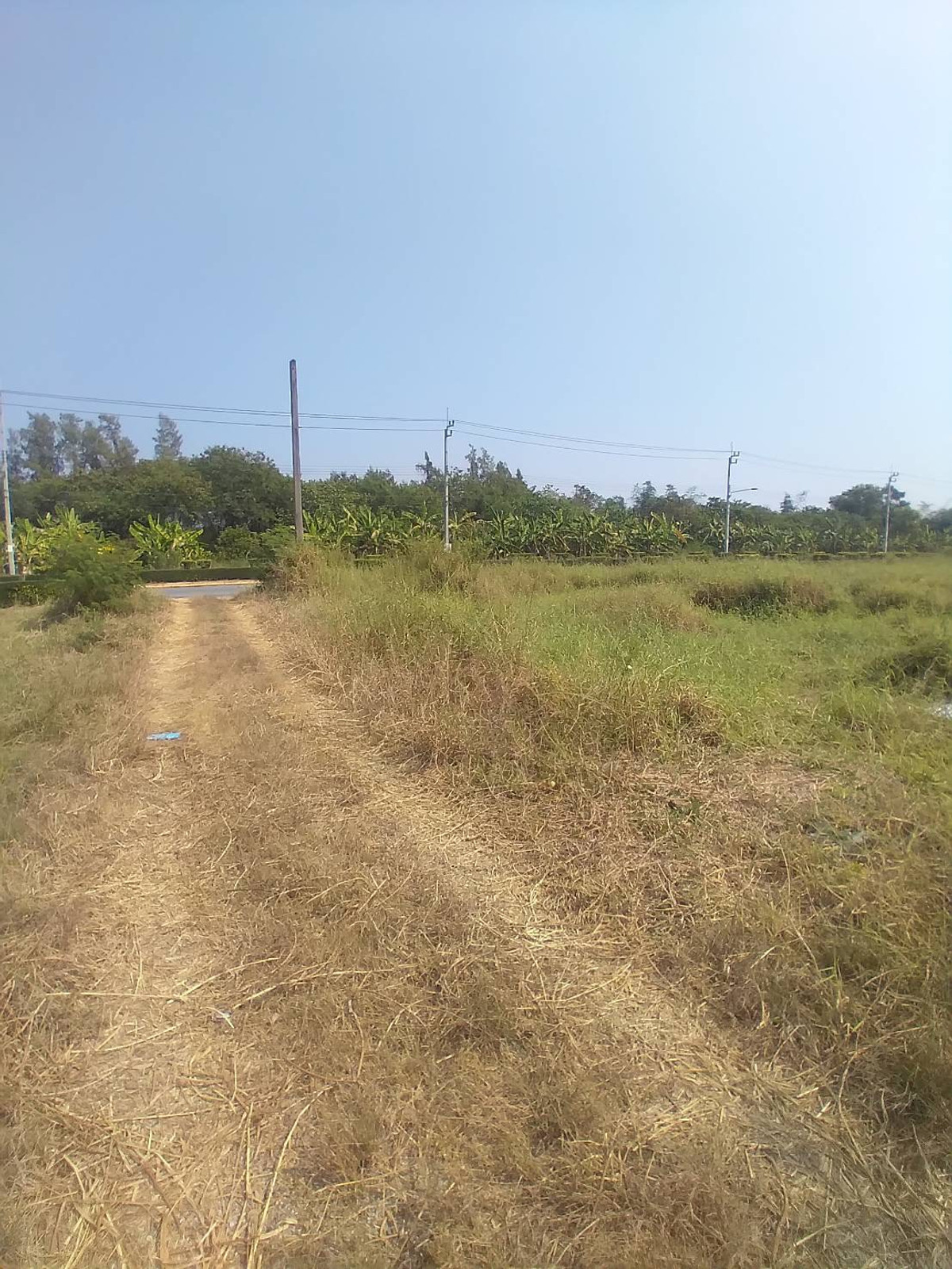 ขายที่ดิน ในซอย สุวินทวงศ์96 1ไร่ ถมแล้ว เข้าซอยเพียง 300 เมตร มีบ้านเลขที่แล้ว – รูปที่ 2