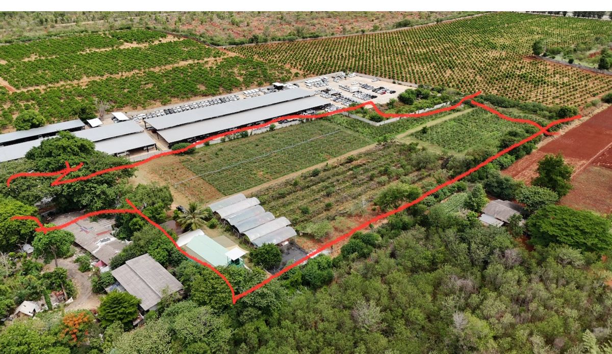 Land for sell Khao Yai Main Road Mittraphap Road Km 45-46: 14 rais 85,000,000 Am: 0656199198 Land for sell Khao Yai Main Road Mittraphap Road Km 45-46: 14 rais 85,000,000 Am: 0656199198