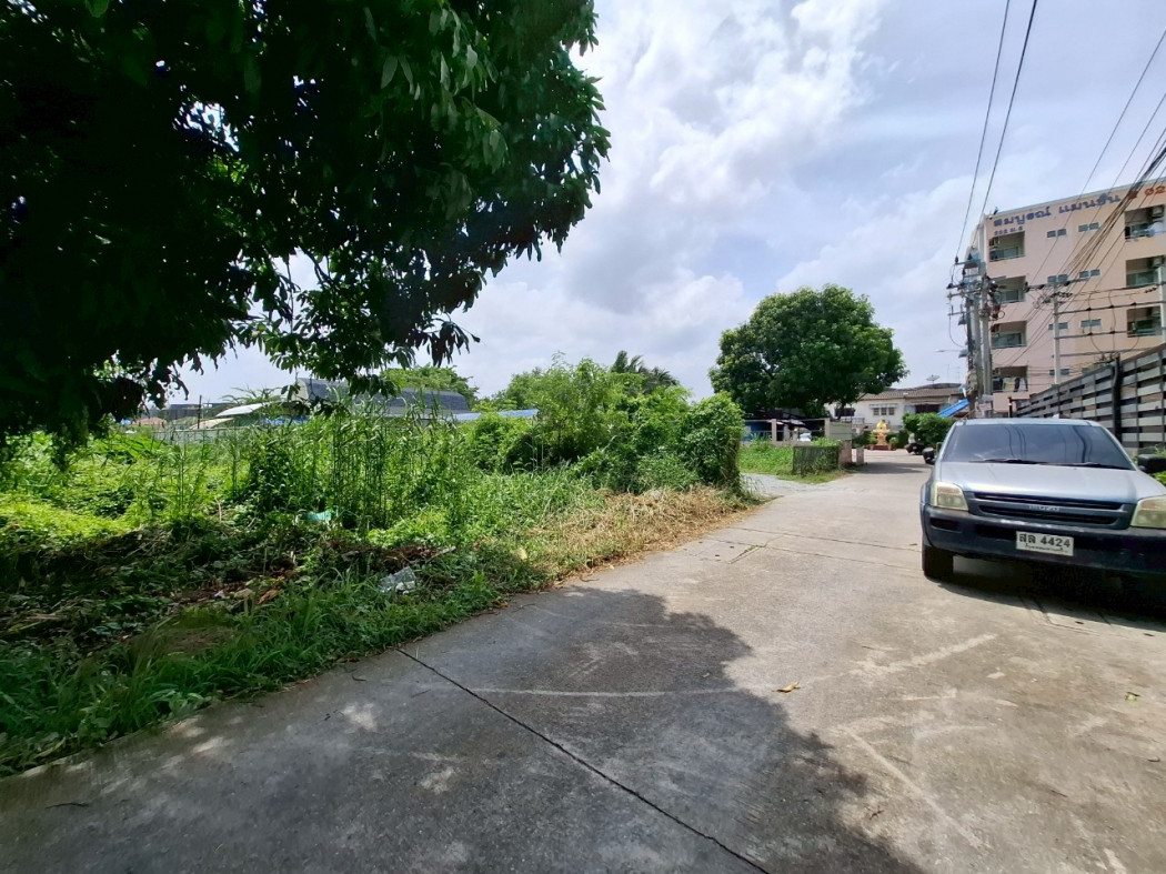 ขายที่ดิน 103 ตรว ซอยแบริ่ง 43  ใกล้สถานีรถไฟฟ้า 500 เมตร ราคานี้หายาก DD – รูปที่ 2