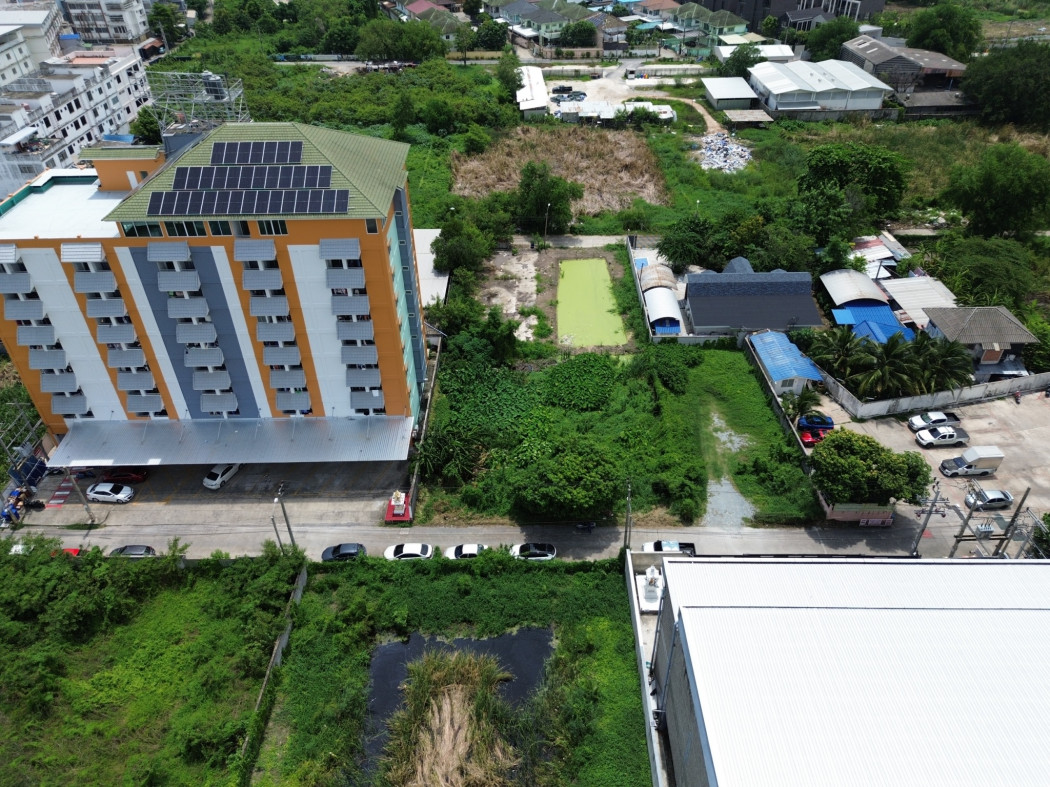 ขายที่ดิน 103 ตรว ซอยแบริ่ง 43  ใกล้สถานีรถไฟฟ้า 500 เมตร ราคานี้หายาก DD – รูปที่ 4