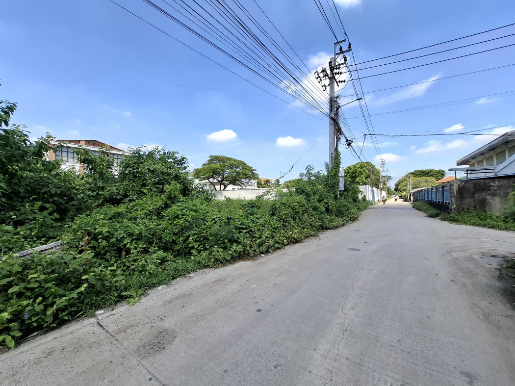 ขาย ที่ดิน 400 ตรว ซอยกรุงเทพกรีฑา33  ใกล้ถ.กรุงเทพกรีฑาแค่ 400 ม. DD – รูปที่ 2