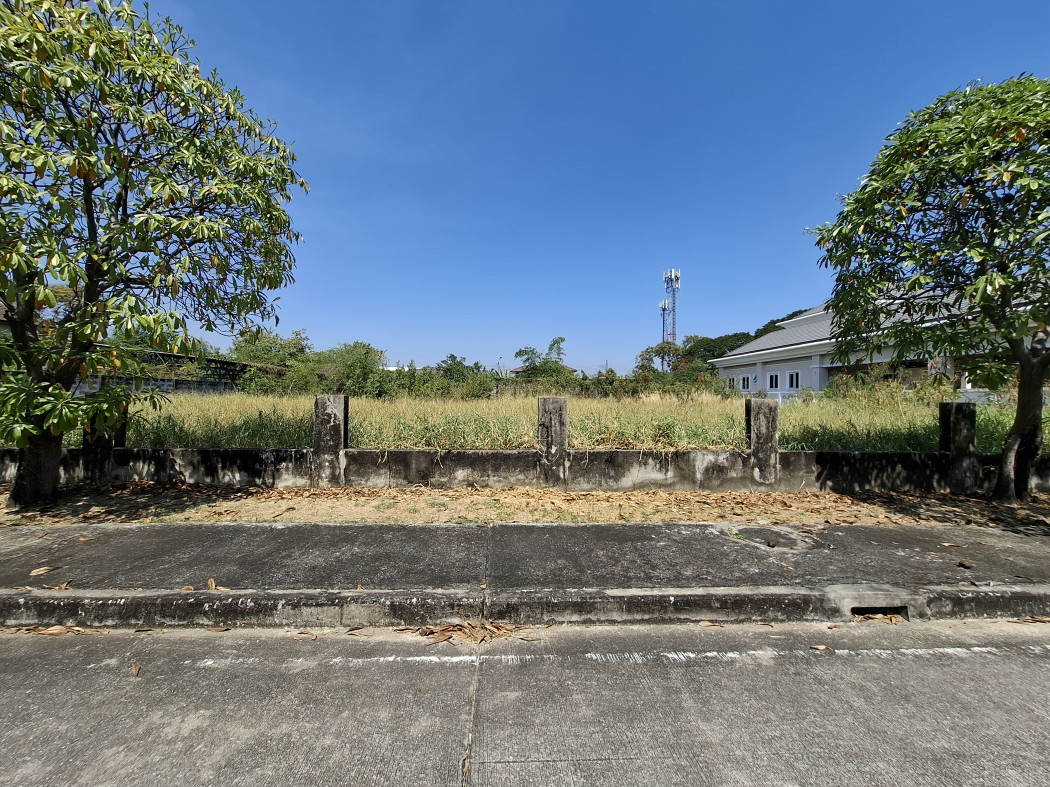 Land for sale, Panya Intra Village P5, size 394 sq w, near Panya Intra Road, only 600 m. KK – รูปที่ 4