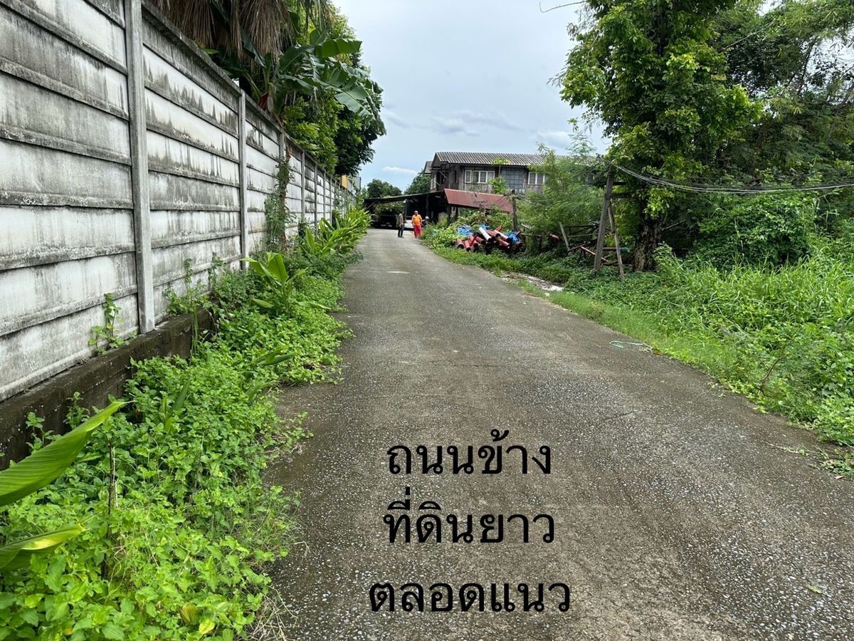 ขายที่ดินติดถนนคู่ขนานกาญจนาภิเษก(วงแหวนตะวันออก) ถนน 3901 – รูปที่ 4