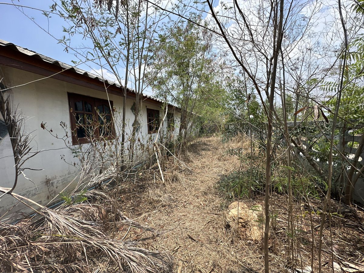 JK 6067347: Outside the Suphanburi project – รูปที่ 3