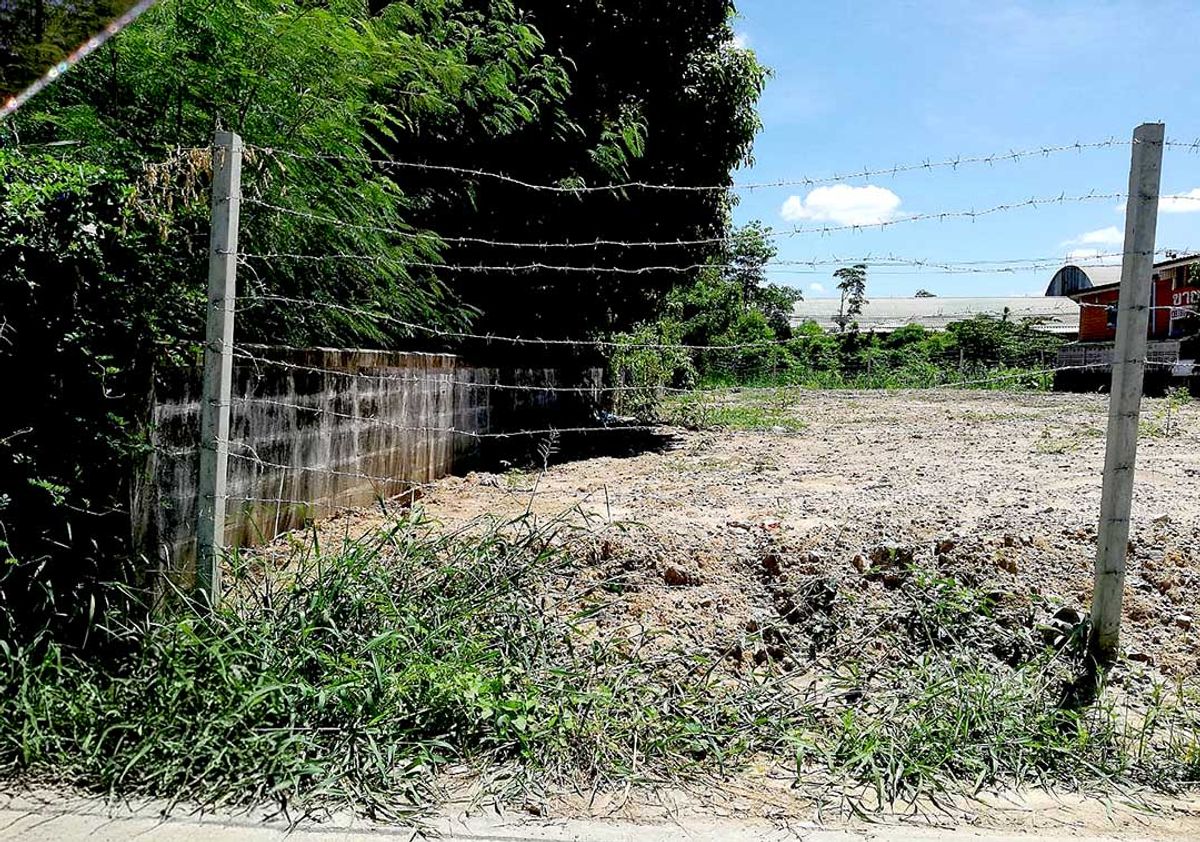ขายที่ดิน 143 ตร.วา (ถมแล้ว) ซอยลาซาล 24 (ซอยแบริ่ง 13) ถนนสุขุมวิท – รูปที่ 3