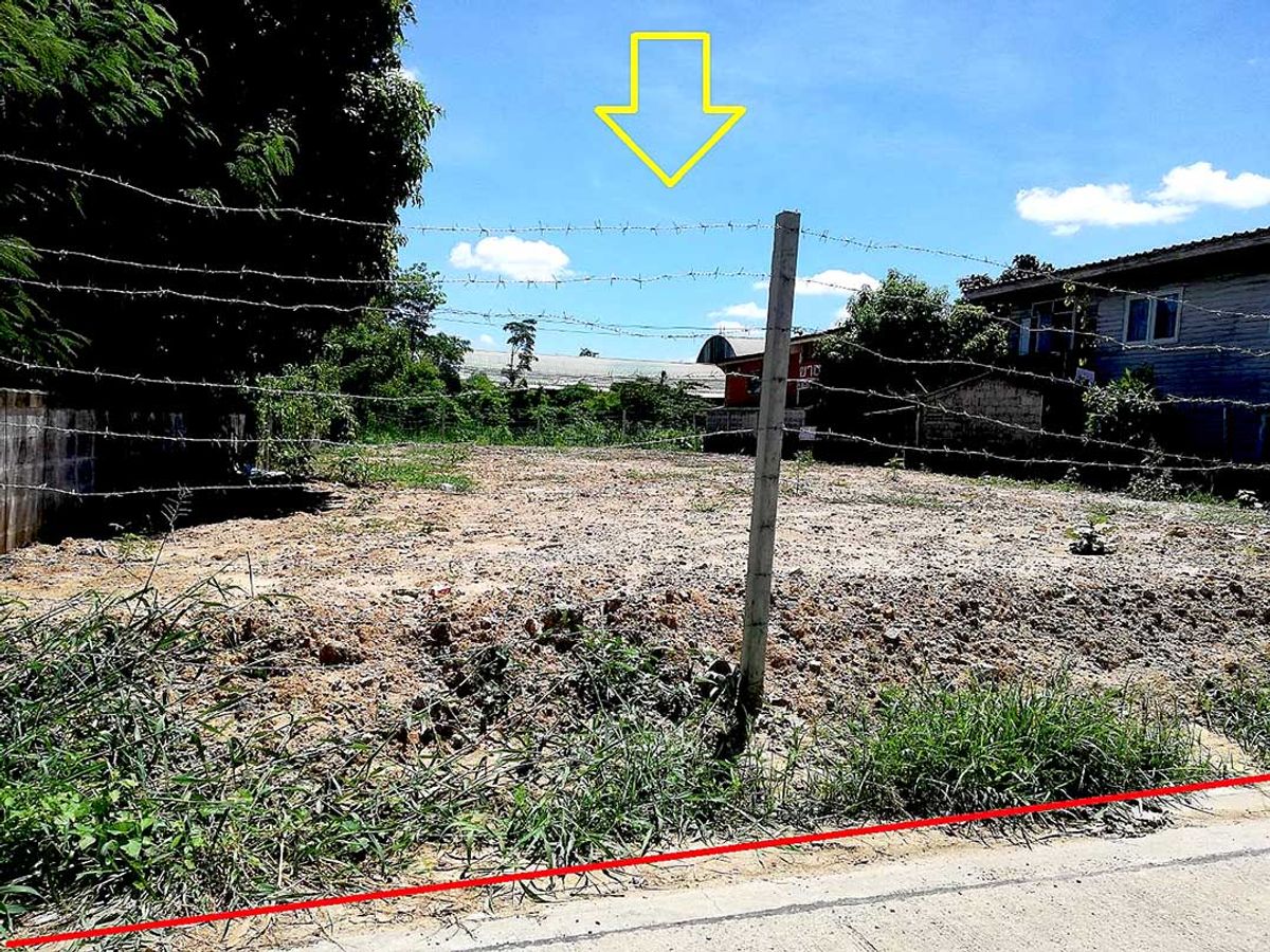 ขายที่ดิน 143 ตร.วา (ถมแล้ว) ซอยลาซาล 24 (ซอยแบริ่ง 13) ถนนสุขุมวิท – รูปที่ 2